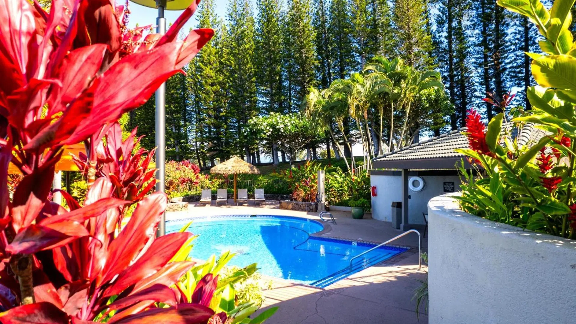 Apartamento Kbm Resorts Free Car Kapalua Golf Villa Ocean View 1-Bedroom Condo Recently Remodeled Kgv-20T2 Estados Unidos da América