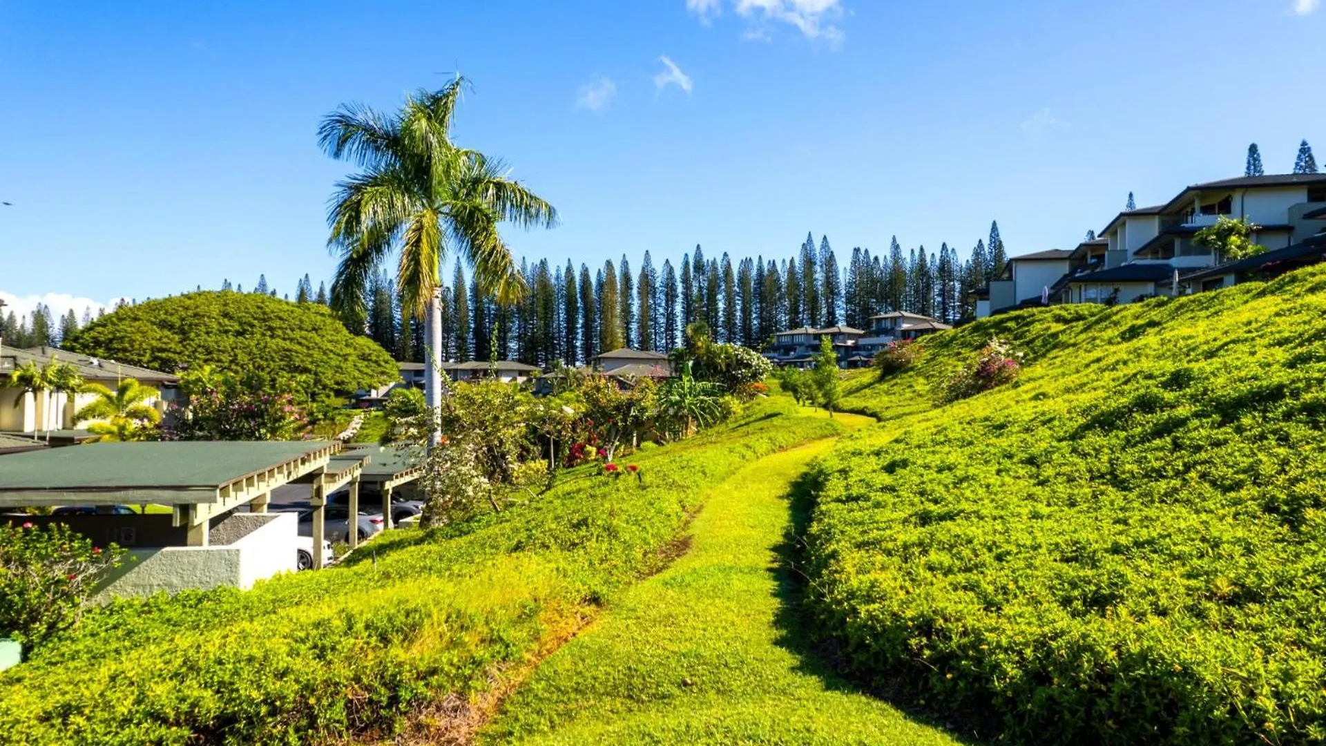 Kbm Resorts Free Car Kapalua Golf Villa Ocean View 1-Bedroom Condo Recently Remodeled Kgv-20T2 0*,